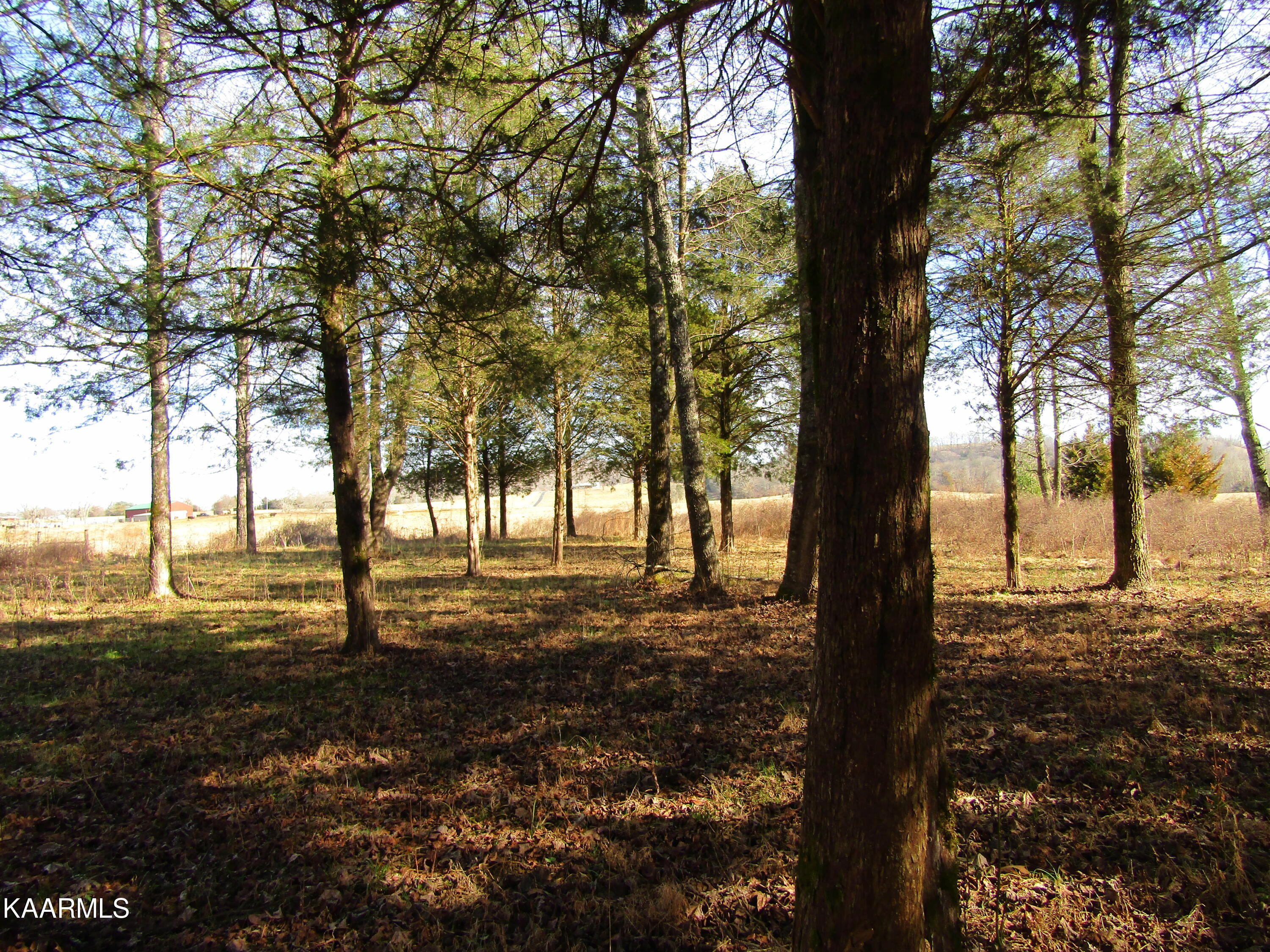 River Bend Drive Celina, TN 38551 - Photo 17 of 21 IMG_1783