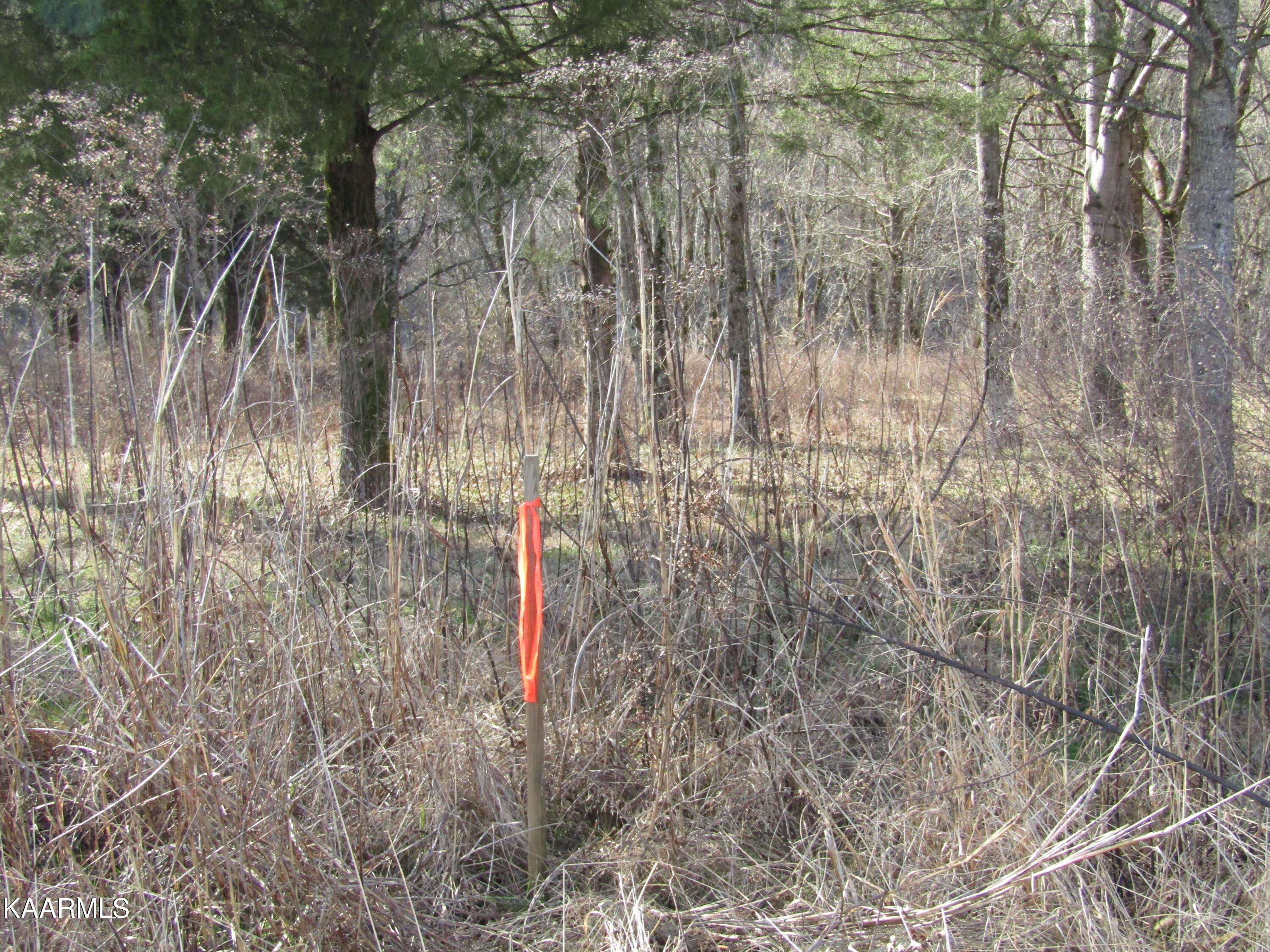 River Bend Drive Celina, TN 38551 - Photo 3 of 21 IMG_1644