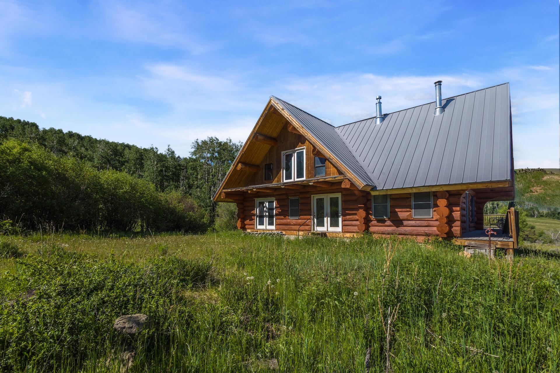 13984 Last Dollar Road Placerville, CO 81430 - Photo 19 of 43 a view of a house with a big yard and large trees