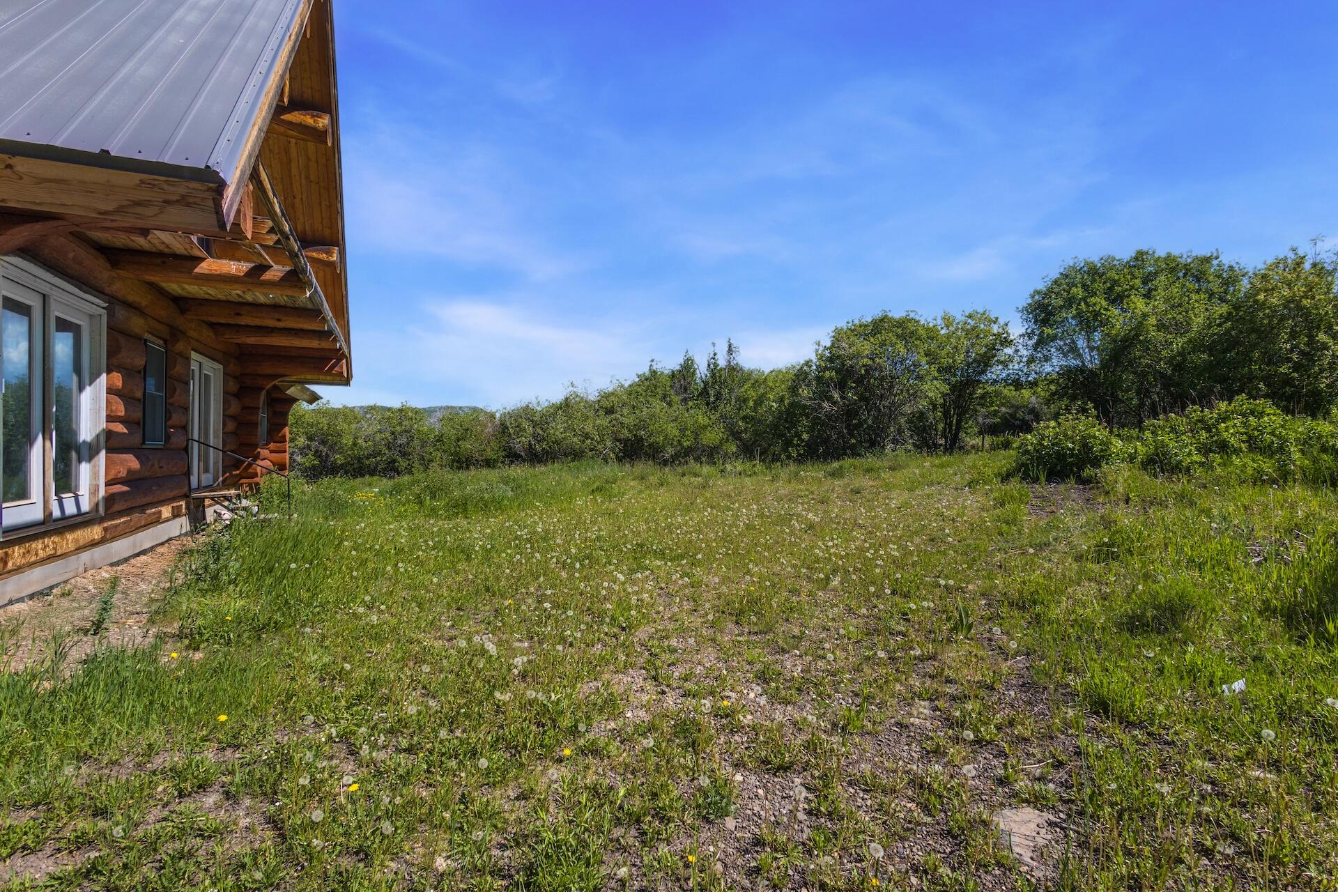 13984 Last Dollar Road Placerville, CO 81430 - Photo 21 of 43 a view of a yard with plants