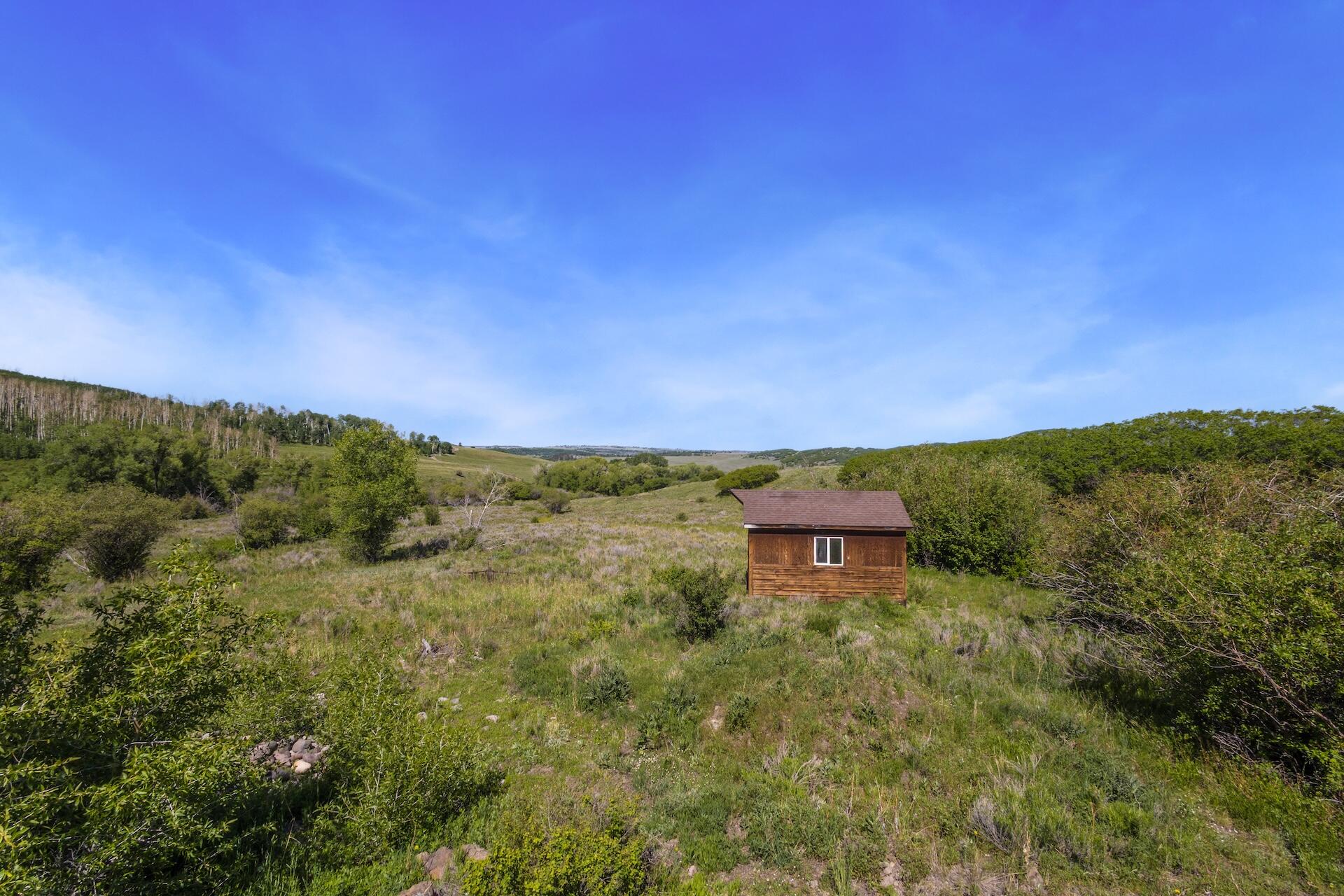 13984 Last Dollar Road Placerville, CO 81430 - Photo 27 of 43 a view of a city with lush green forest