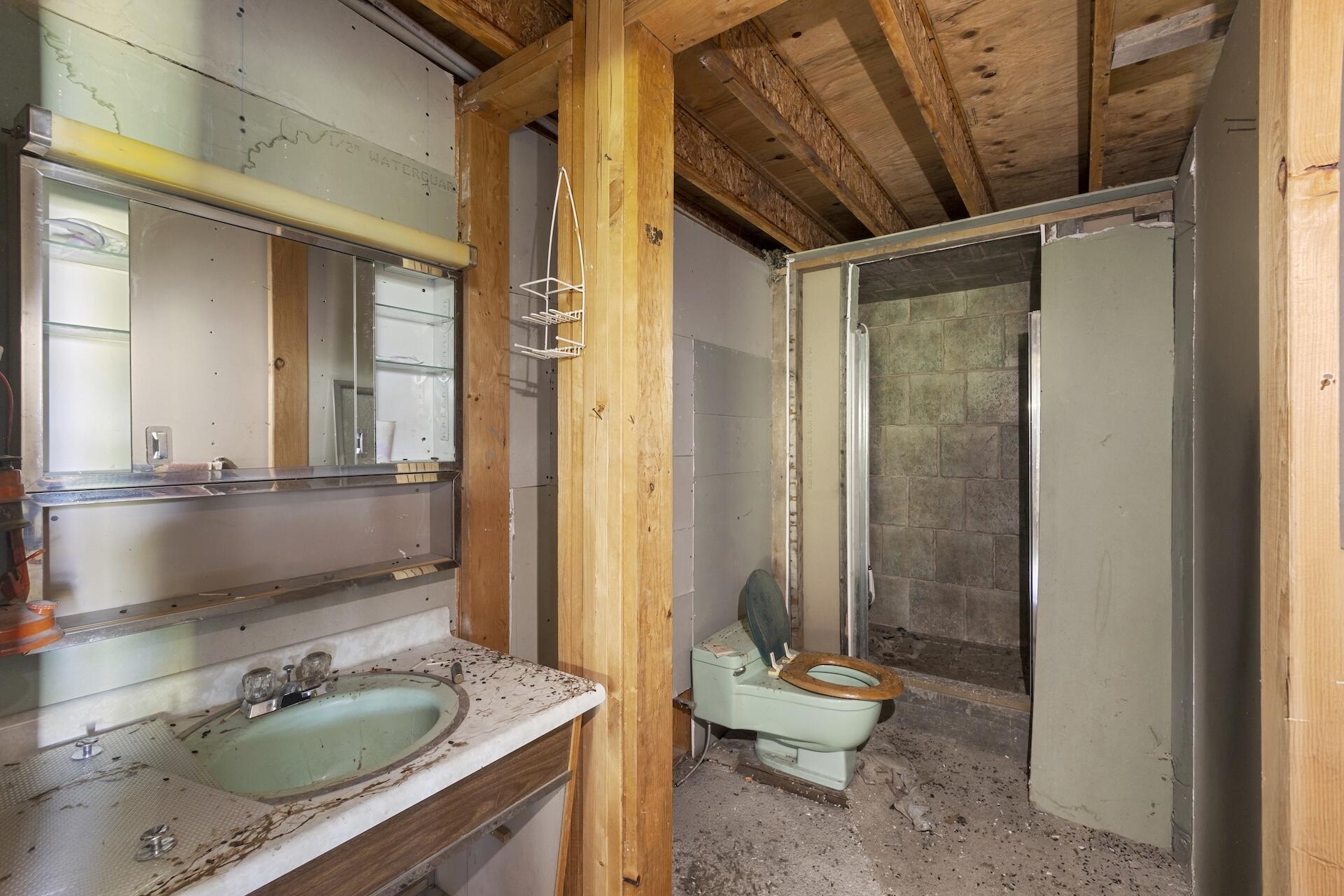 13984 Last Dollar Road Placerville, CO 81430 - Photo 40 of 43 a bathroom with a sink a toilet and a mirror