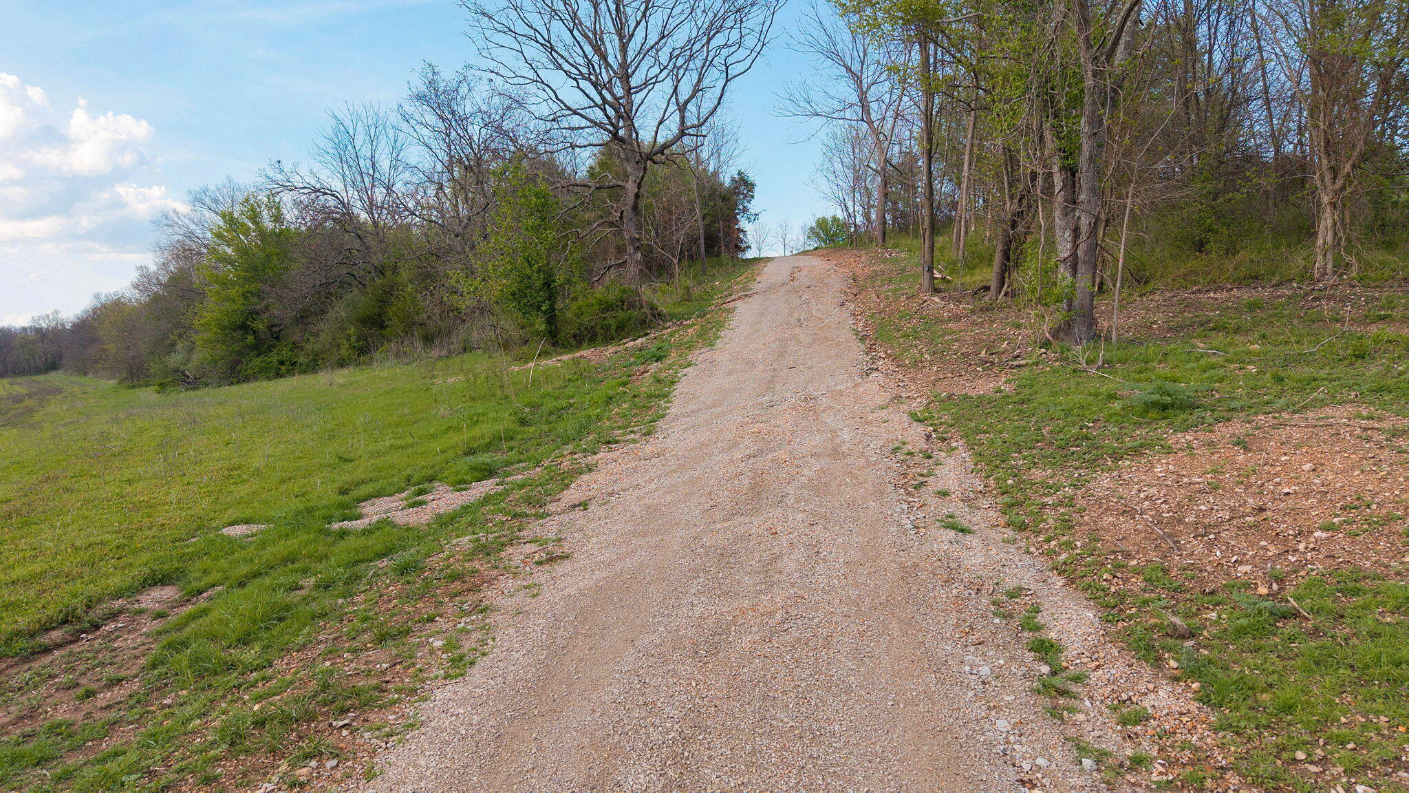 503 Airport Road Crane, MO 65633 - Photo 67 of 70 503 Airport Rd-16