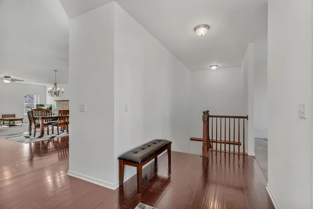 a view of a hallway with wooden floor and a potted plant