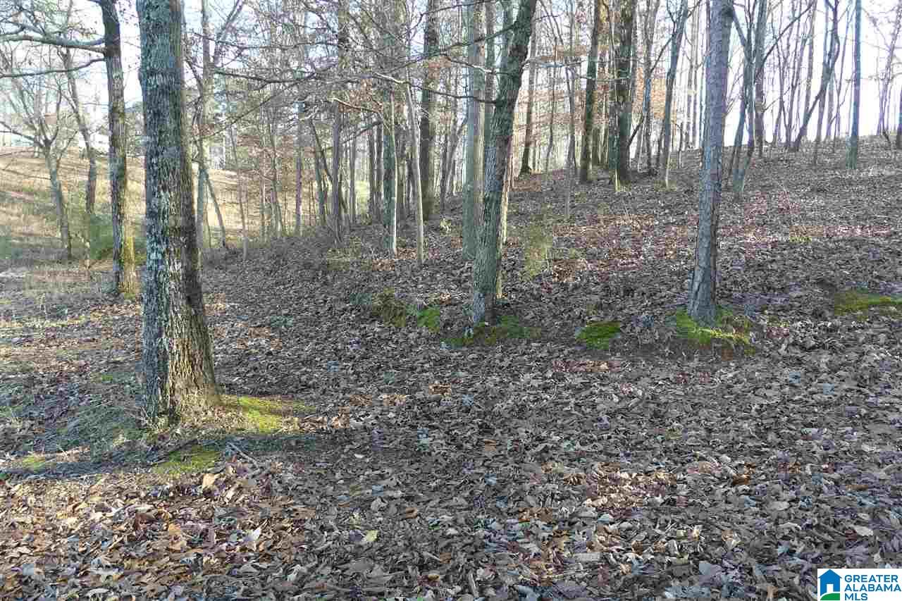 Lot 1 A Red Barn Road, Unit 1A Wedowee, AL 36278 - Photo 4 of 8