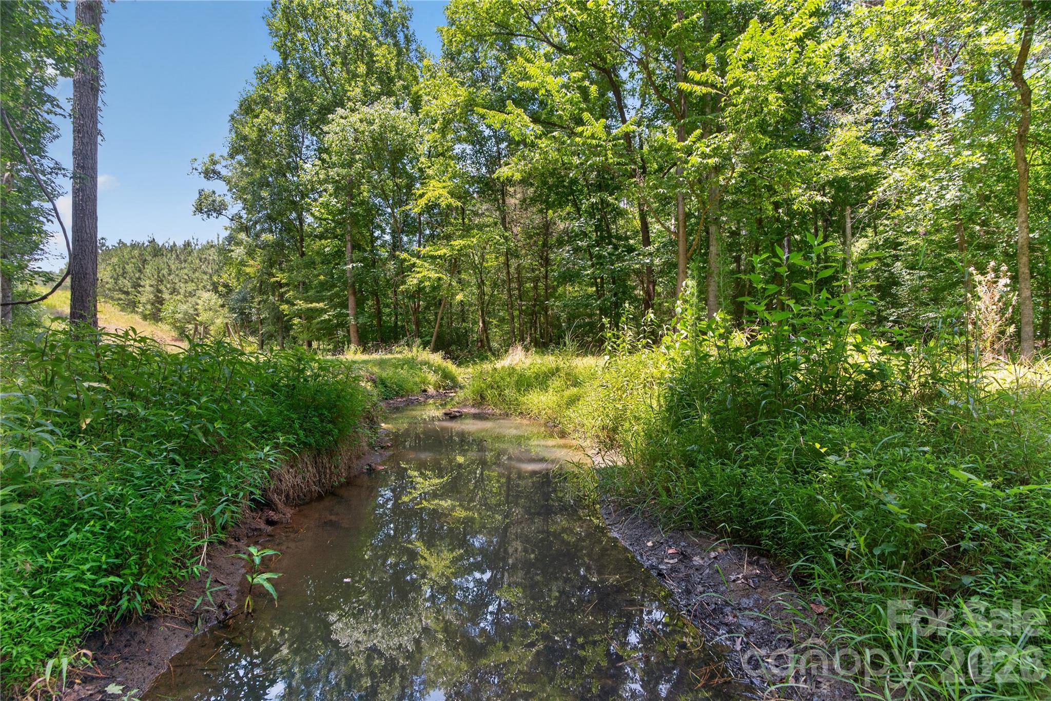 0 Blanton Road, Unit 2 Sharon, SC 29742 - Photo 8 of 43