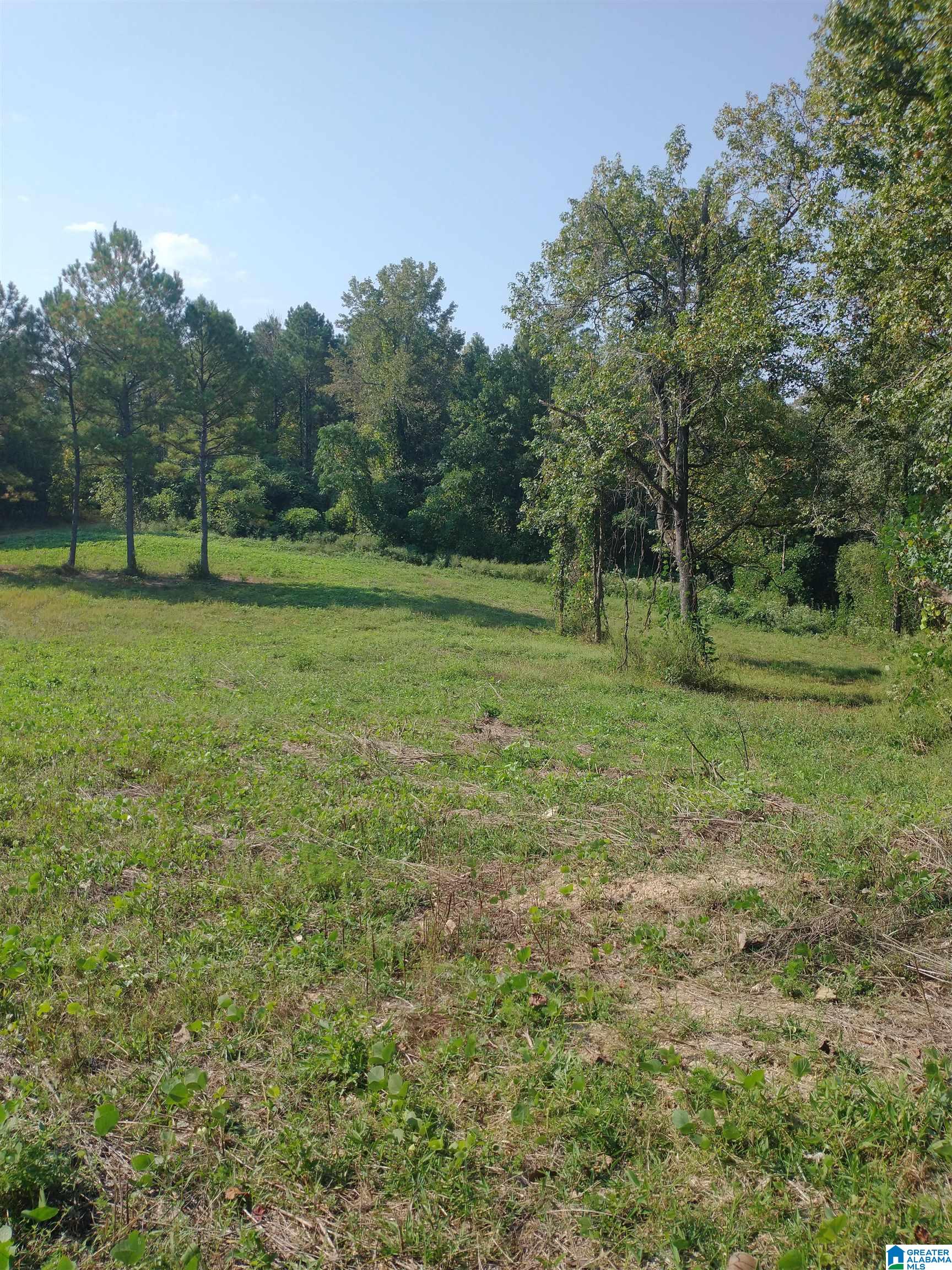 8100 Mckesie Street, Unit 81 ACRES Riverside, AL 35135 - Photo 12 of 18
