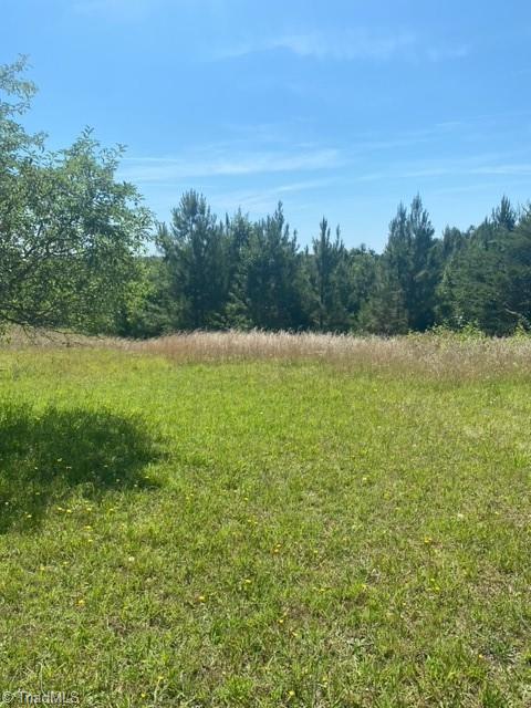 8463 Reid Farm Road Walnut Cove, NC 27052 - Photo 15 of 18 Gallery Image 15