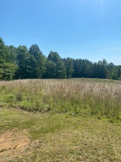 8463 Reid Farm Road Walnut Cove, NC 27052 - Photo 16 of 18 Gallery Image 16