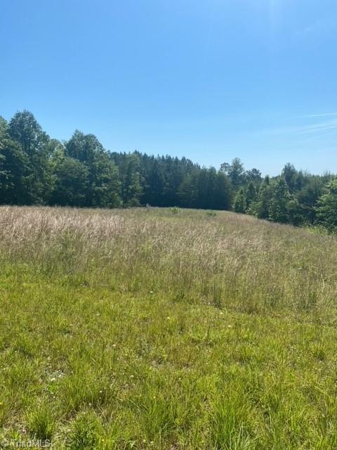 8463 Reid Farm Road Walnut Cove, NC 27052 - Photo 18 of 18 Gallery Image 18