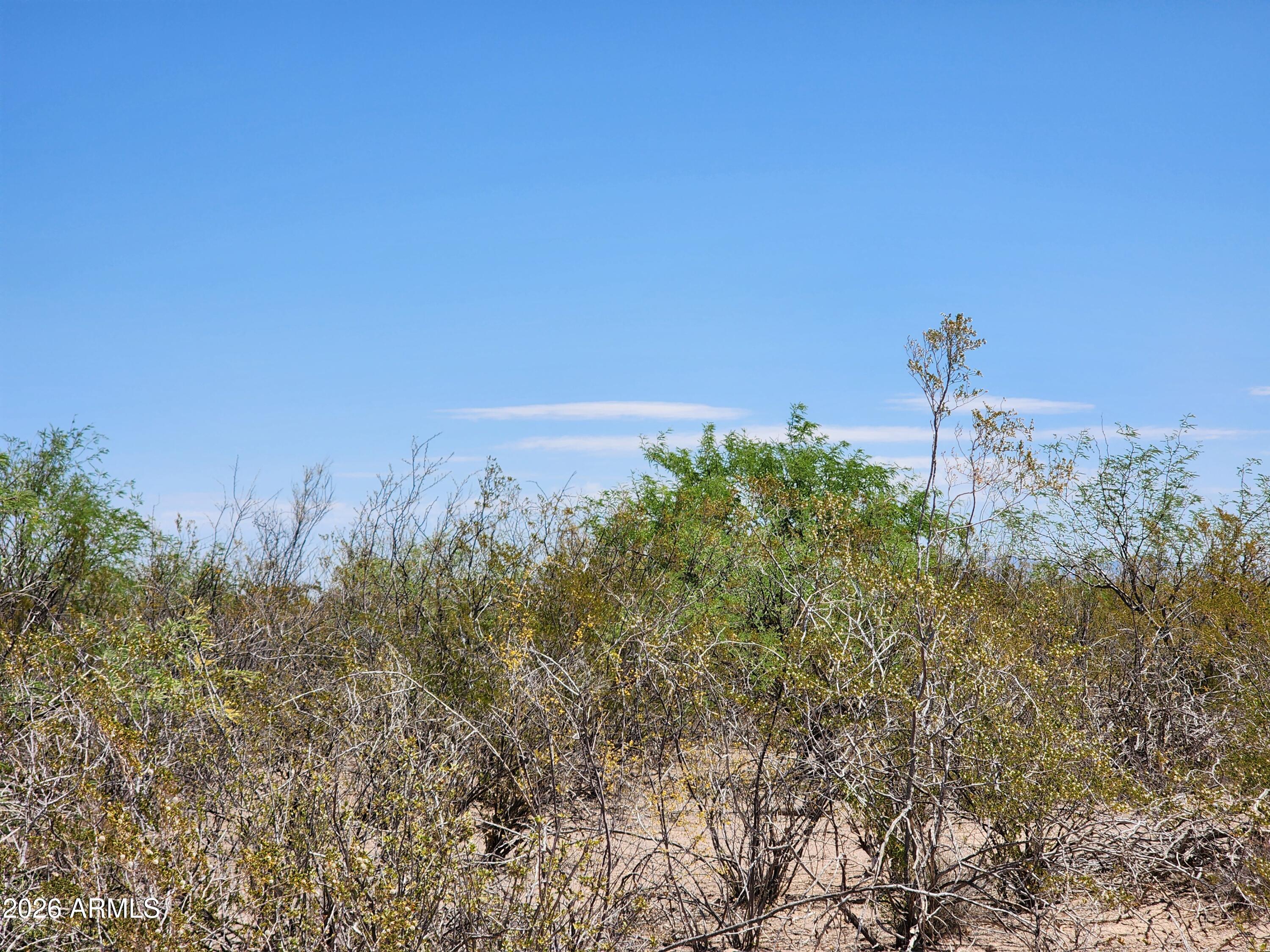 Lot B Bowers Road, Unit 21 Huachuca City, AZ 85616 - Photo 4 of 5 20260609_110830