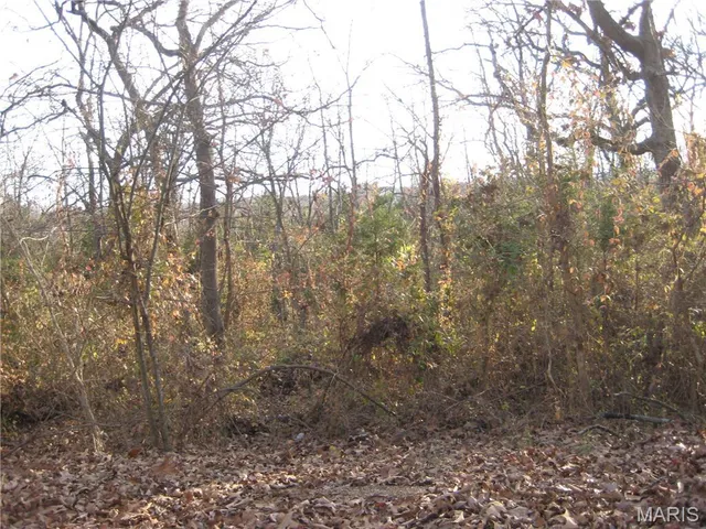 $15,500 | 3 Easton Street, De Soto, MO 63020