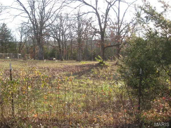 $15,500 | 3 Easton Street, De Soto, MO 63020