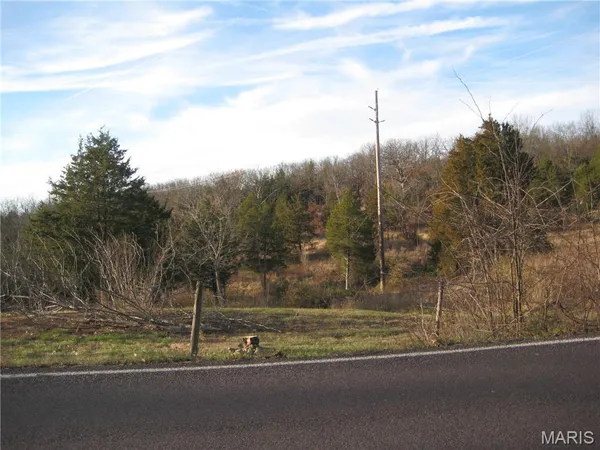 $15,500 | 3 Easton Street, De Soto, MO 63020