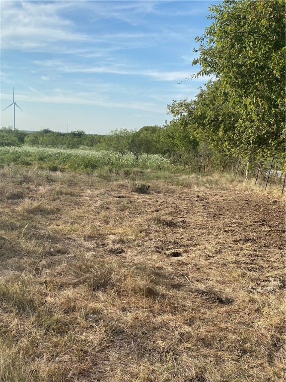 3254 Rd Mount Mount Calm, TX 76673 - Photo 16 of 43