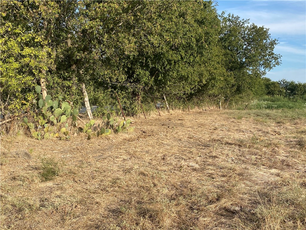 3254 Rd Mount Mount Calm, TX 76673 - Photo 18 of 43