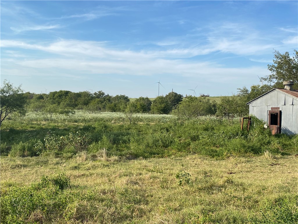 3254 Rd Mount Mount Calm, TX 76673 - Photo 20 of 43