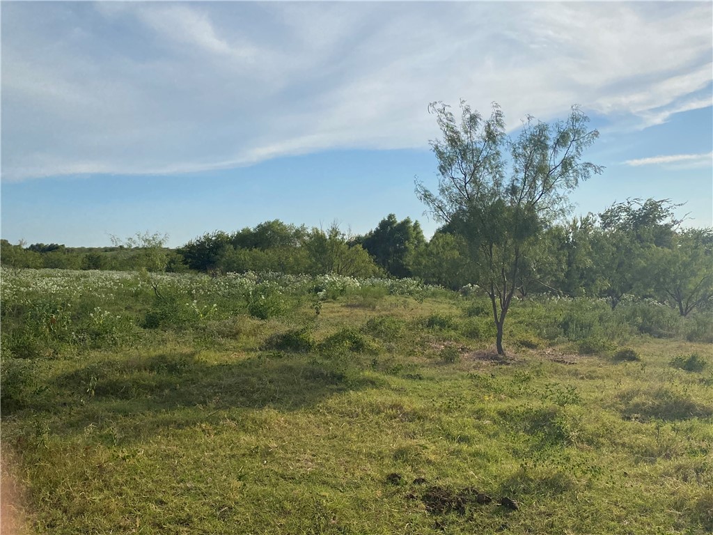 3254 Rd Mount Mount Calm, TX 76673 - Photo 22 of 43