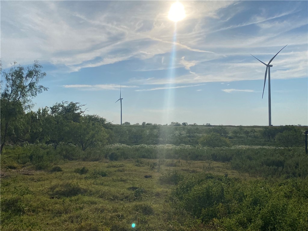 3254 Rd Mount Mount Calm, TX 76673 - Photo 23 of 43