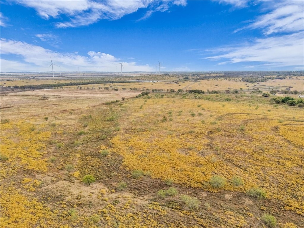 3254 Rd Mount Mount Calm, TX 76673 - Photo 34 of 43