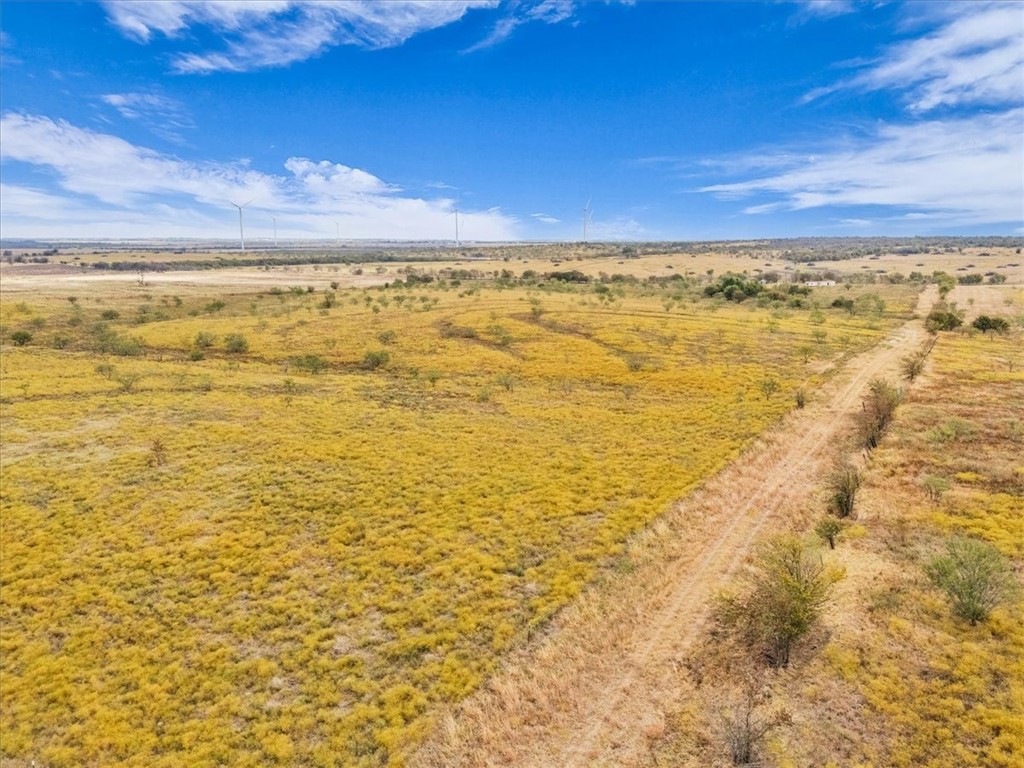 3254 Rd Mount Mount Calm, TX 76673 - Photo 35 of 43