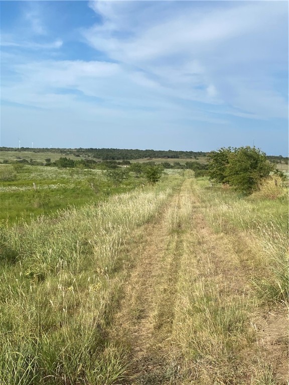 3254 Rd Mount Mount Calm, TX 76673 - Photo 4 of 43