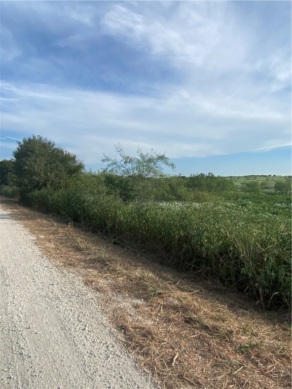 3254 Rd Mount Mount Calm, TX 76673 - Photo 6 of 43