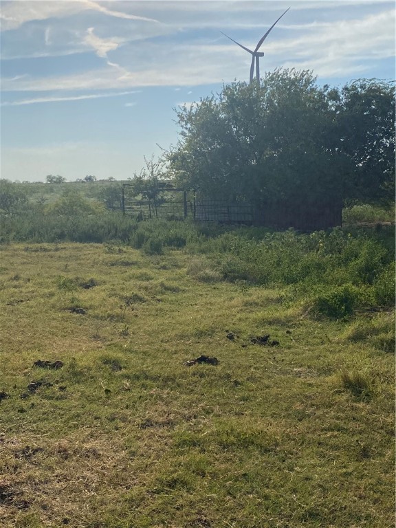 3254 Rd Mount Mount Calm, TX 76673 - Photo 7 of 43