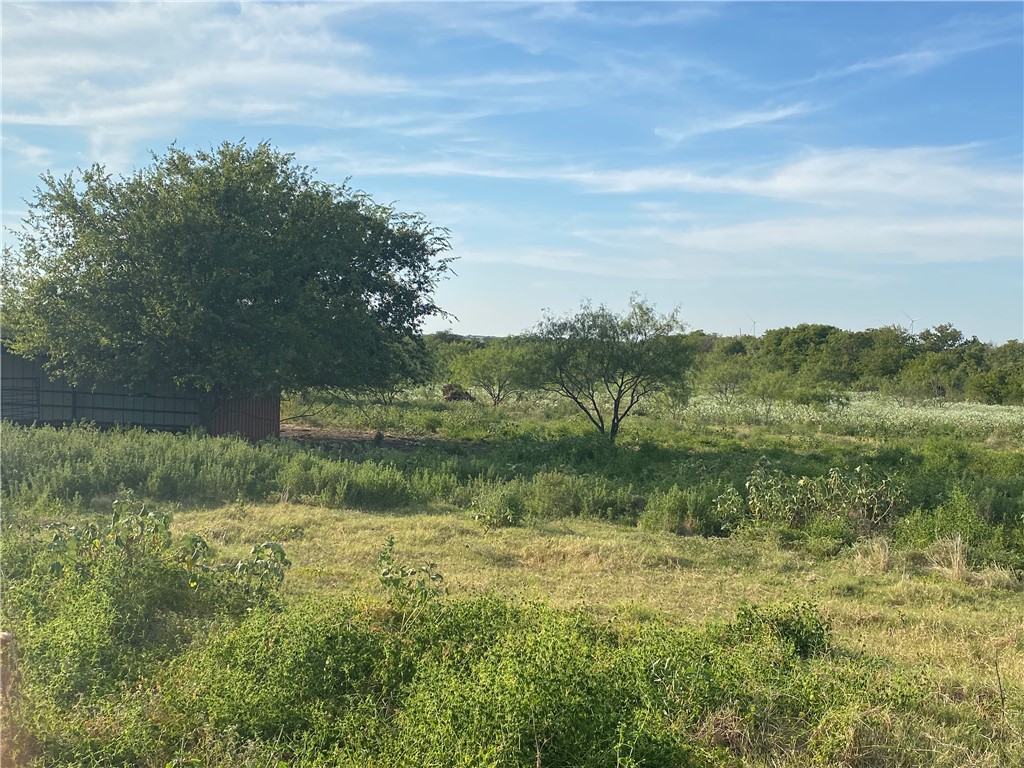 3254 Rd Mount Mount Calm, TX 76673 - Photo 8 of 43
