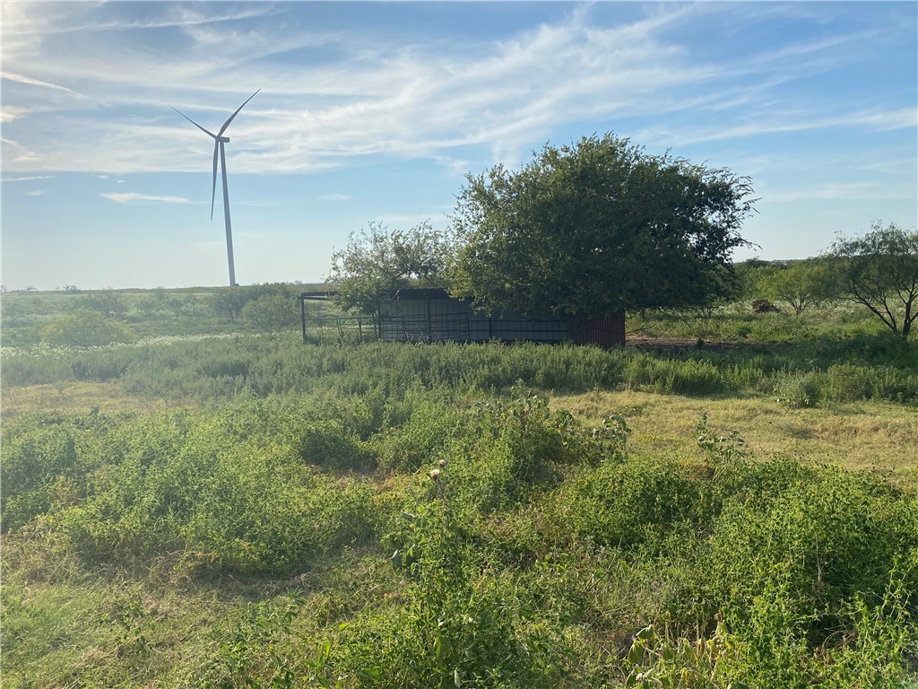 3254 Rd Mount Mount Calm, TX 76673 - Photo 10 of 43