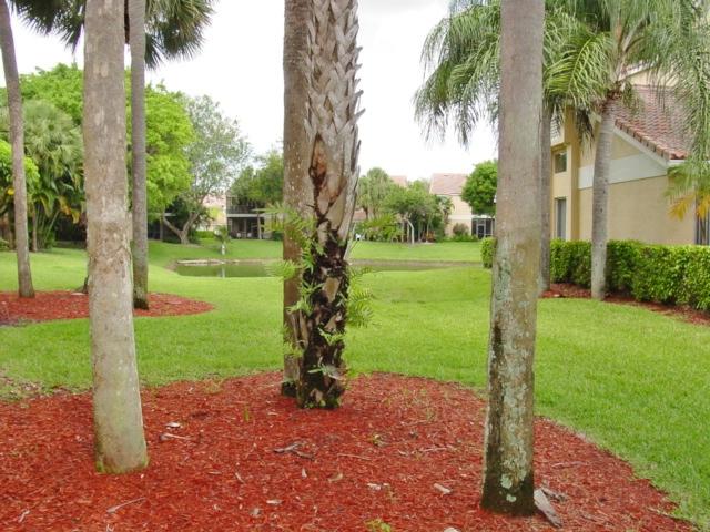 23230 Island View, Unit E Boca Raton, FL 33433 - Photo 21 of 29 Backyard
