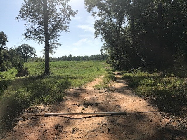 20.33-ac Dee Road Opp, AL 36467 - Photo 2 of 14 Gallery Image 2