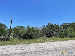 1078 Summit Ridge Drive New Braunfels, TX 78132 - Photo 2 of 4