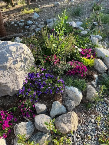 a bunch of flowers are in a garden