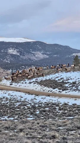 a close up of a lake view