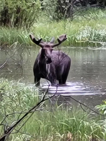 a view of a lake view