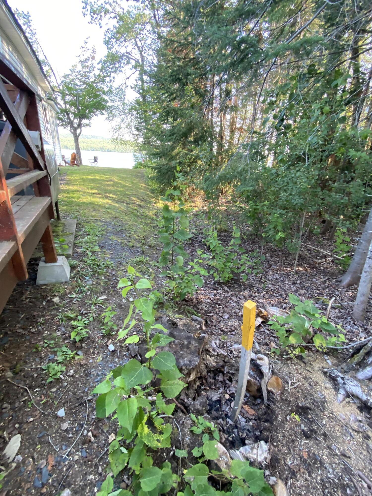 320 Sinclair Road Sinclair, ME 04779 - Photo 45 of 55 IMG_7652