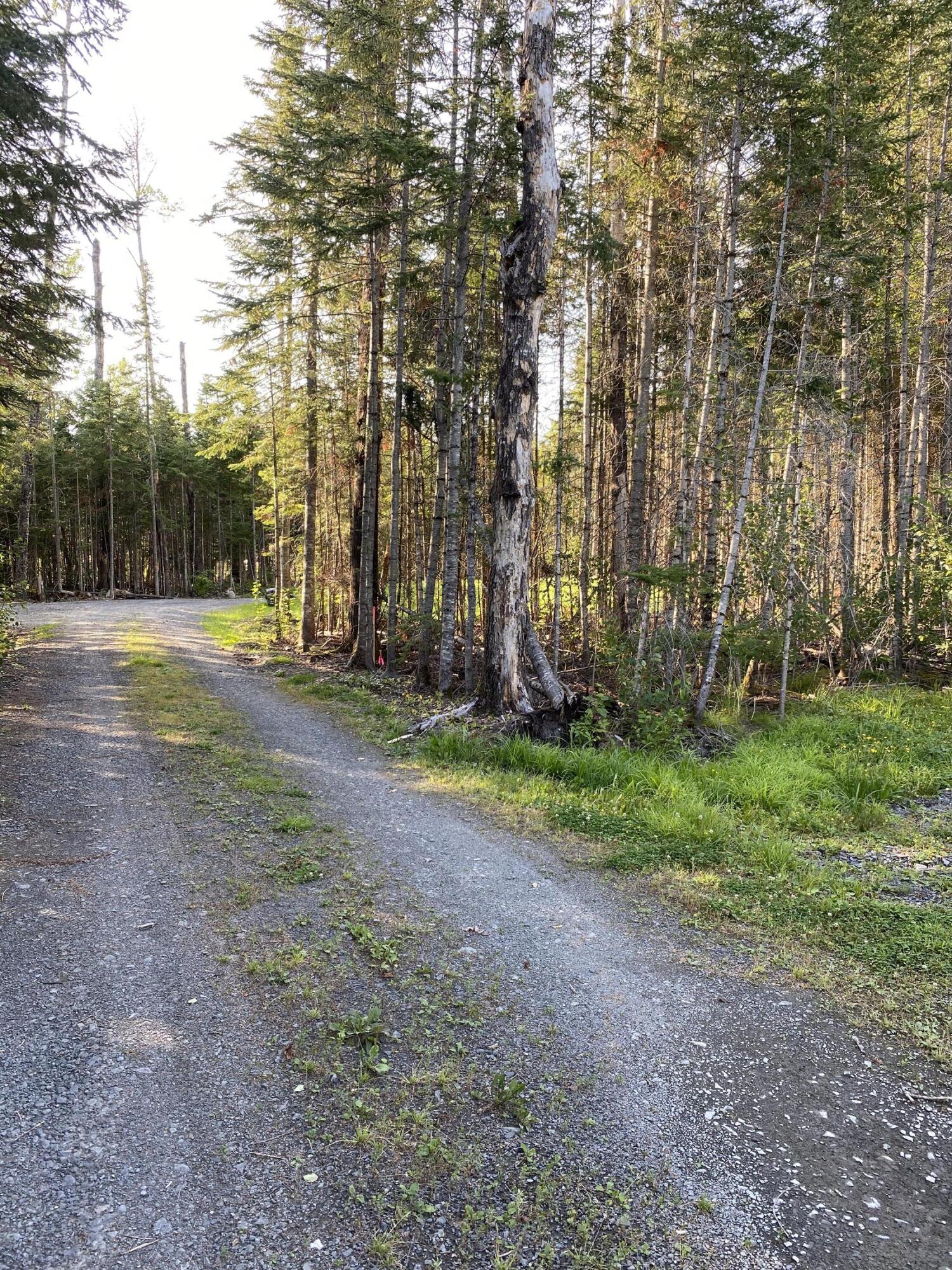 320 Sinclair Road Sinclair, ME 04779 - Photo 53 of 55 IMG_7606