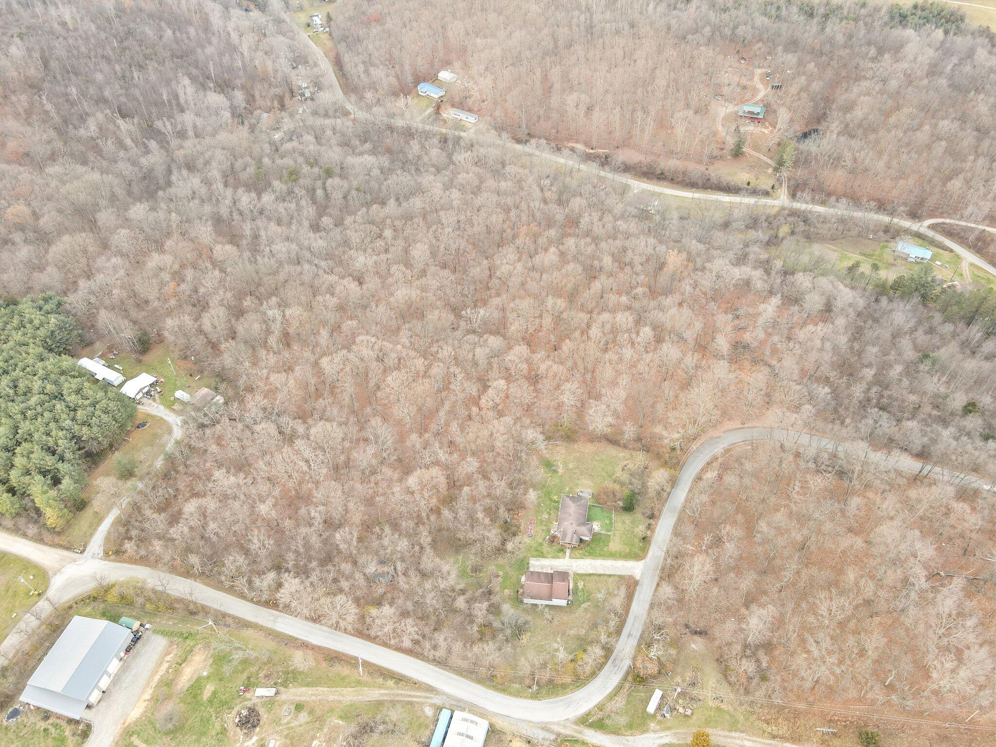 12 Wooded Acres