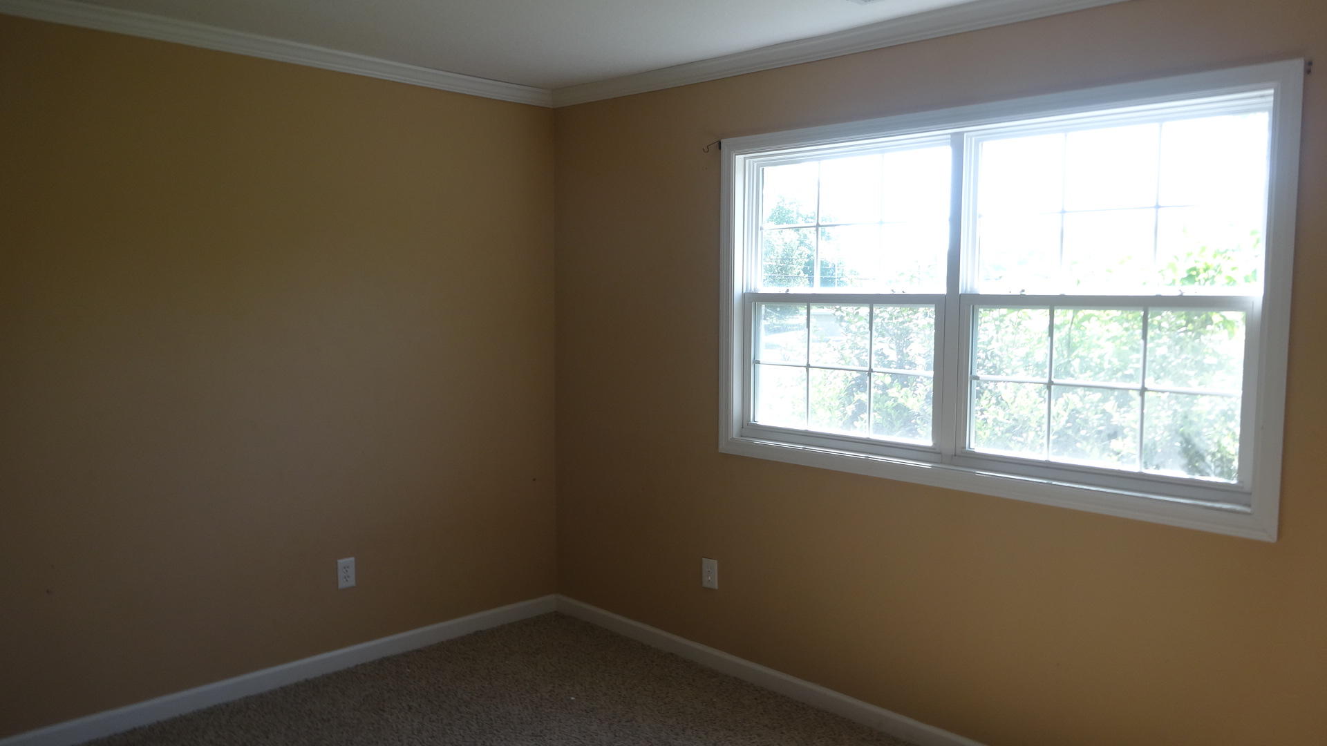 329 Loop Road Jasper, TN 37347 - Photo 8 of 17 DSC05226