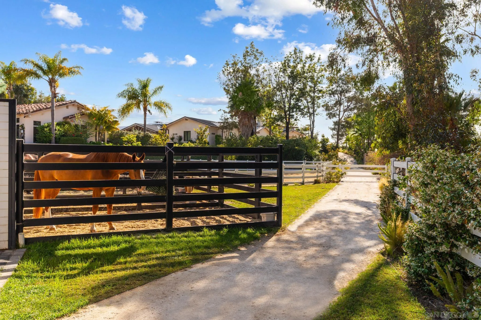 7150 Via Del Charro Rancho Santa Fe, CA 92067 - Photo 58 of 75
