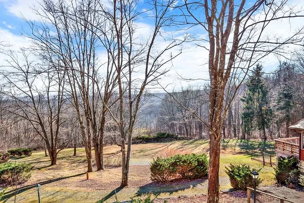 a view of a yard with trees