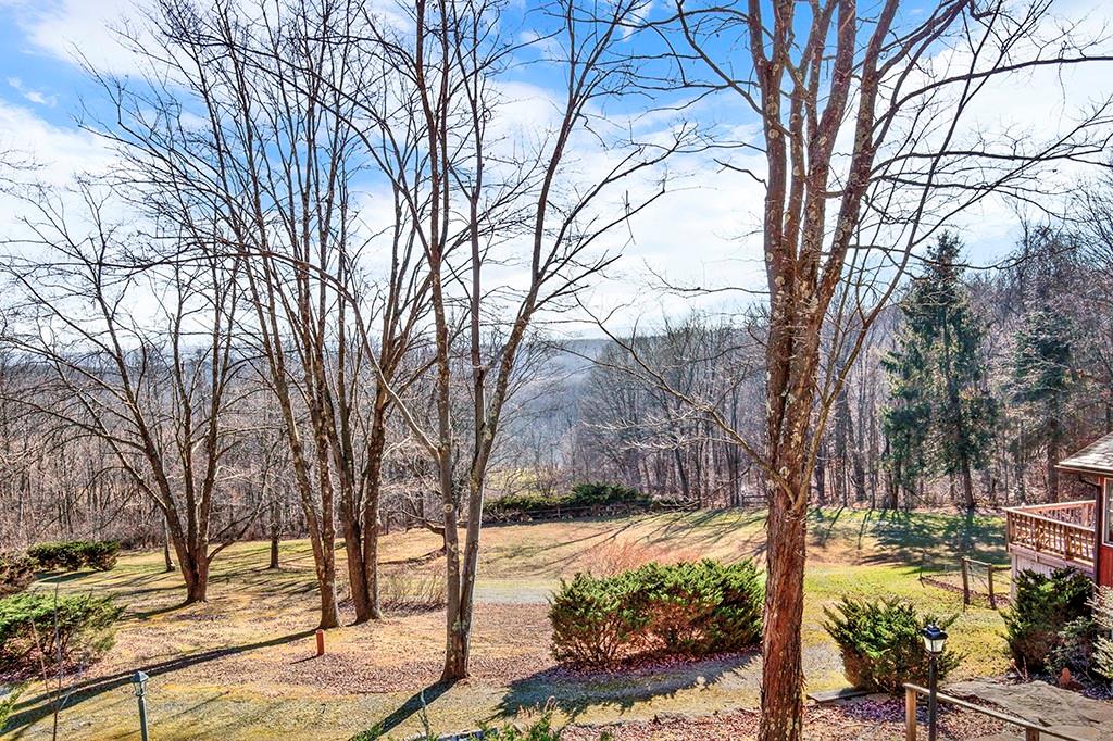 254 Light Lane Ligonier, PA 15658 - Photo 45 of 50 a view of a yard with trees