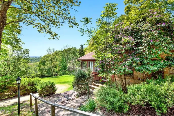 a view of a yard with plants and large trees