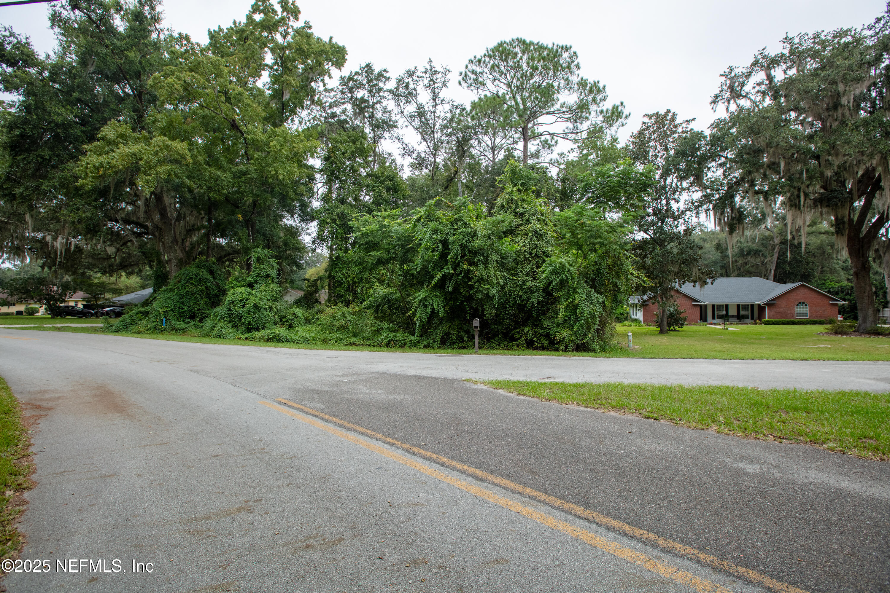 a view of outdoor space with yard and green space