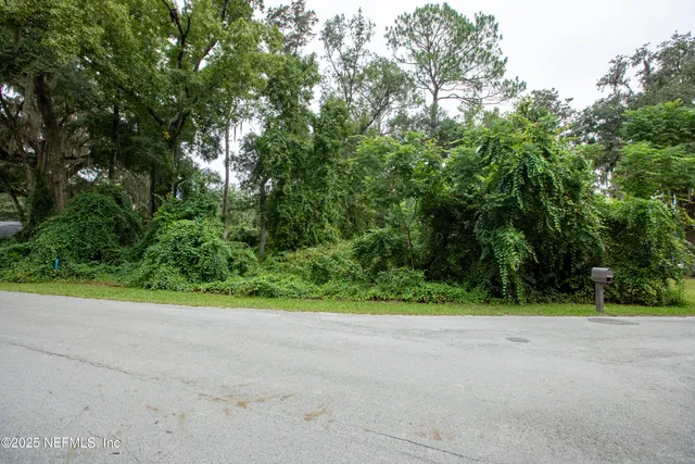 a view of a yard with large trees