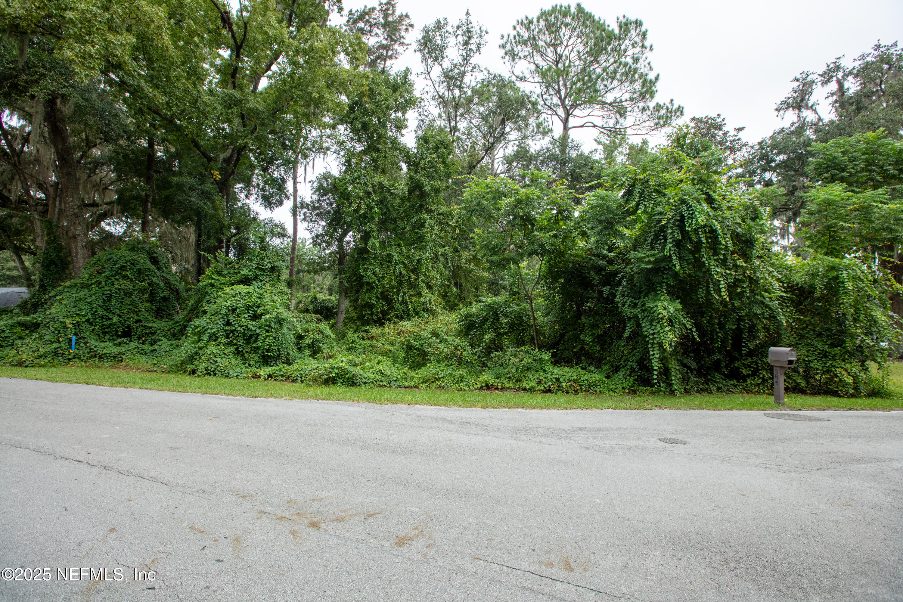 0 Southeast 28th Way Melrose, FL 32666 - Photo 7 of 9 a view of a yard with large trees