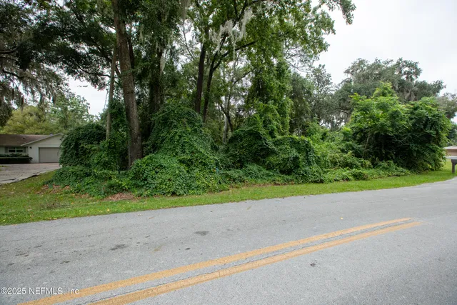 a view of a yard with a tree