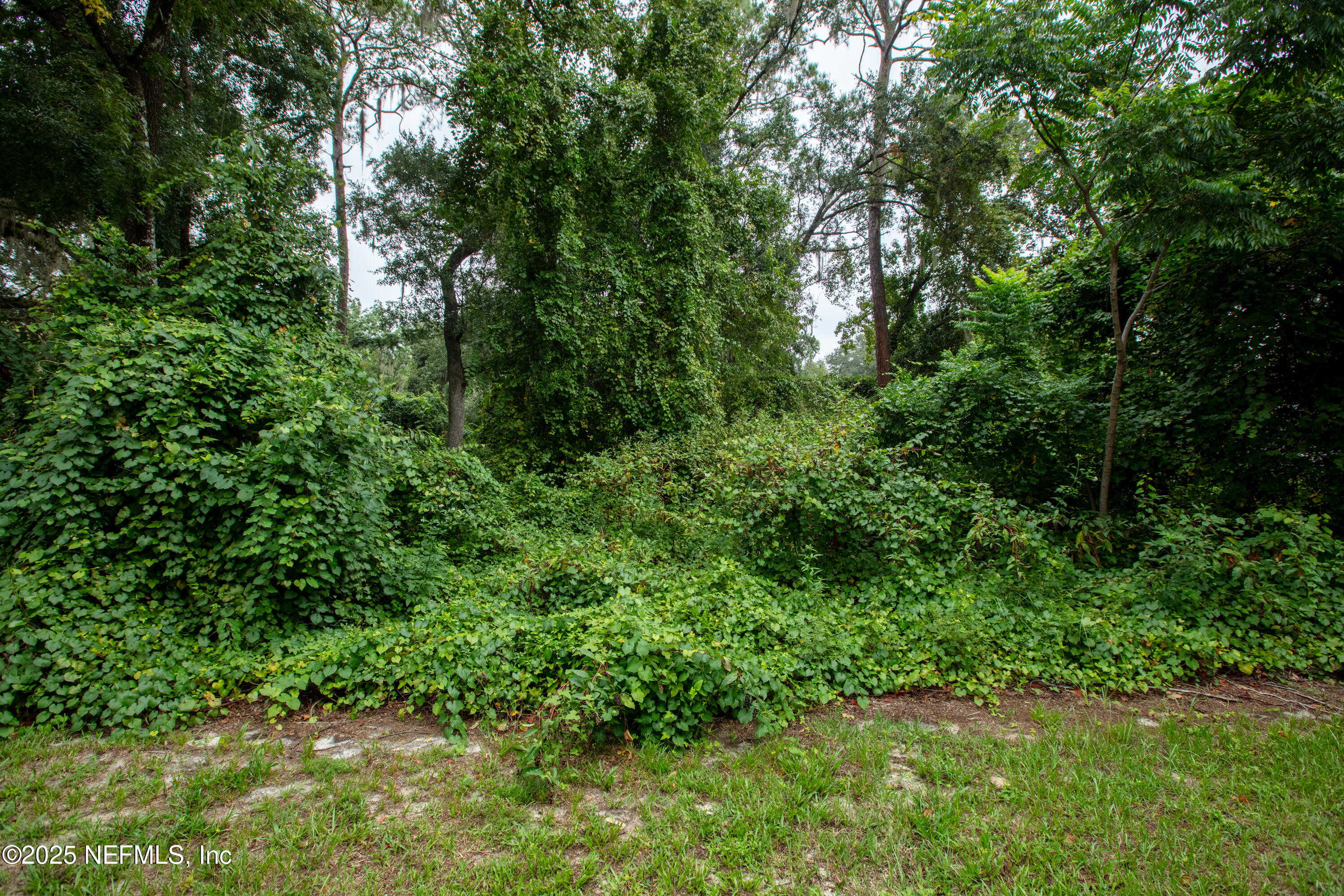 0 Southeast 28th Way Melrose, FL 32666 - Photo 9 of 9 a view of a lush green forest