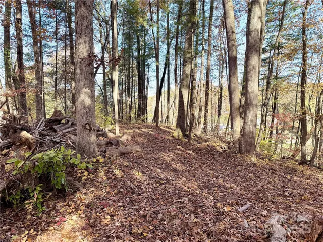 a view of backyard of house
